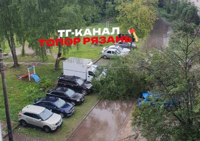 В Дашково-Песочне Рязани берёза упала на автомашины