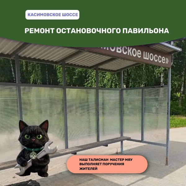 В Рязани поручения жителей начал выполнить Мастер Мяу