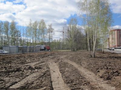 У рязанцев украли дубы