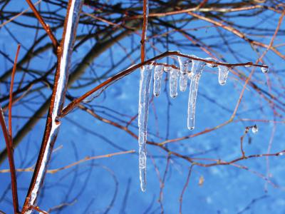 В Рязань идёт тепло