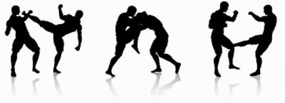 В Рязанской области пройдут Дни боевых единоборств