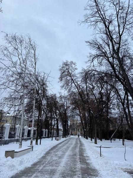 Туман 1 марта ухудшит видимость на дорогах Рязанской области