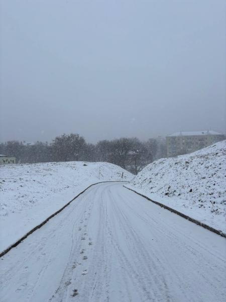 В Рязани 2 января ожидается снег и местами метель