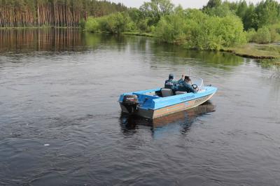 В водоёме Рязани утонул пенсионер