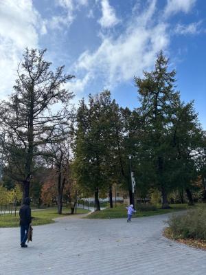 Днём в Рязанской области воздух прогреется до 8 градусов