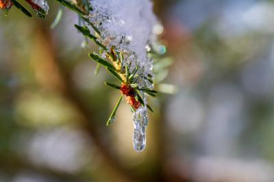В Рязанской области потеплеет до 4 градусов