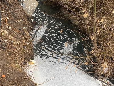 Ручей на улице Большой в Рязани приобрёл сине-бурый цвет