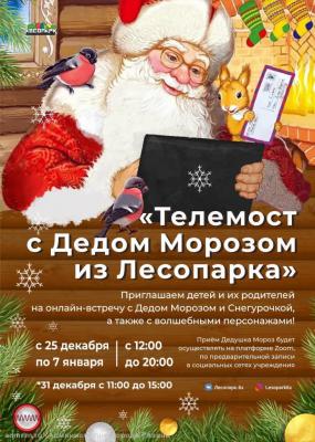 Юные рязанцы могут пообщаться с Дедом Морозом и Снегурочкой в Zoom