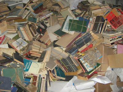 Рязанцы могут сдать макулатуру и спасти деревья