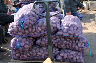 Рязанским заключённым обеспечен запас овощей на зиму