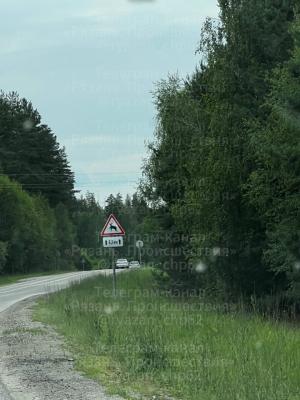 На участке рязанской трассы установили знак «Дикие животные»