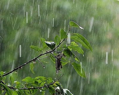 Рязанцам пообещали дождь