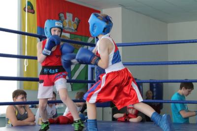В сасовской «Планете спорта» прошли первые соревнования по боксу