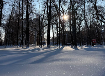 В Рязанской области местами ожидается 28 градусов мороза