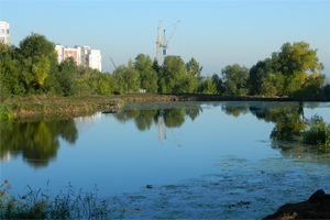 Пруд на Тимакова в Рязани облагородят