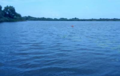 Водоканал Рязани усилил контроль за качеством воды в Оке