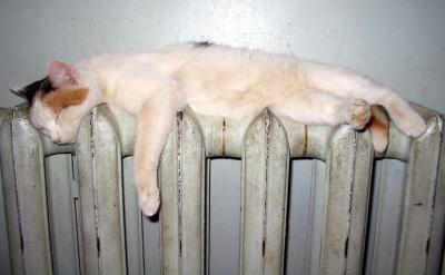 Почти все дома Рязани обеспечены теплом