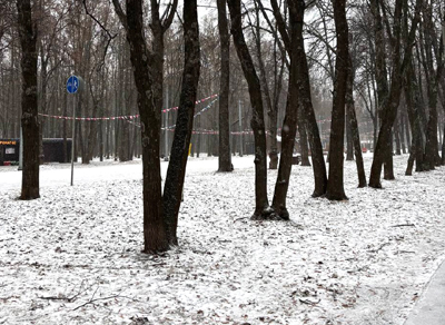 В Рязанской области ожидается оттепель