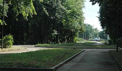 На рязанском ЦСК осовременят покрытие игрового поля