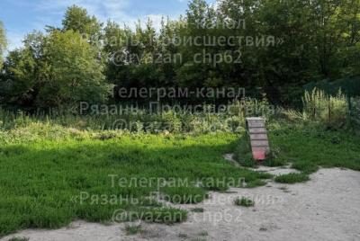 Рязанцы рассказали о плачевном состоянии собачьей площадки на Касимовском шоссе