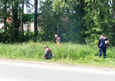 Сотрудники РМПТС провели окос травы в Дягилево