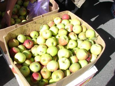 Стоимость продуктов питания на Рязанщине ниже среднего по России