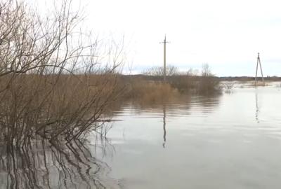 Дорогу от Шумаши до Заокского под Рязанью перекрывать не будут