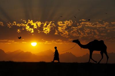 Рязанцам всё ещё не рекомендуют посещать Африку без острой необходимости