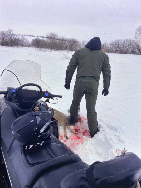 Рязанские полицейские поймали браконьеров, застреливших косулю