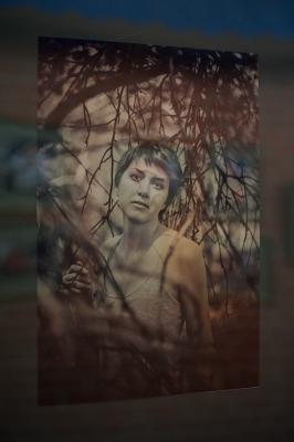 В рязанском МКЦ открылась выставка всех