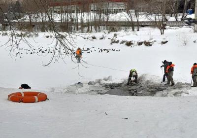 На пруду «Серая шейка» в Рязани сделают искусственную полынью для спасения уток