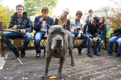 Скопинский театр «Предел» ищет новые формы работы со зрителем