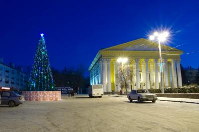 Рязанские депутаты предлагают отказаться от натуральных елей