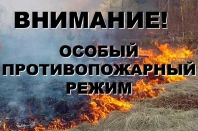 В мае за разведение костров в Рязанской области наказали 14 человек