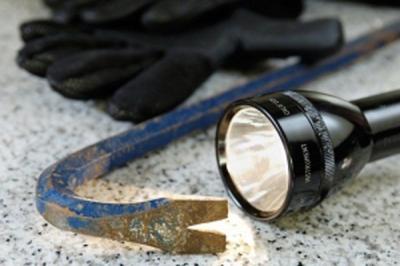 Рязанские оперативники поймали группу дачных воров