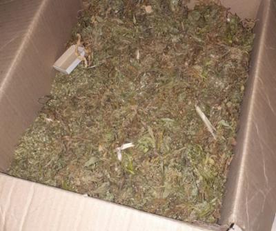 У жителя Касимова изъяли свыше 700 граммов марихуаны