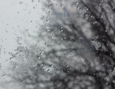 Рязанцев предупредили о мокром снеге