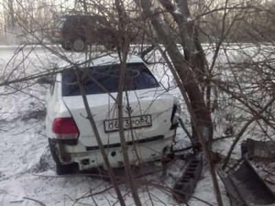 На трассе Рязань – Ряжск иномарку остановило дерево