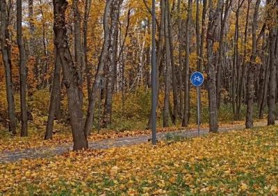 В Рязанской области потеплеет до 12 градусов