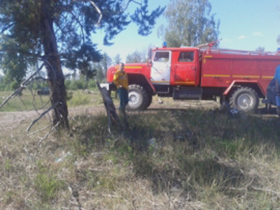 Близ Рыбного ликвидировали лесной пожар