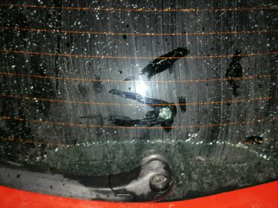 Рязанцы сообщили о стрельбе из пневматики около детского сада