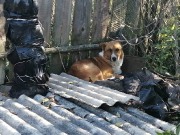 IMG-20201008-WA0025.jpg title=