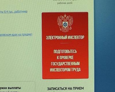 «Электронный инспектор» поможет узнать рязанцам о соблюдении их трудовых прав