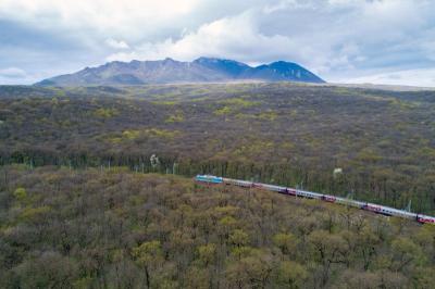 Через Рязань начнёт курсировать поезд  Архангельск–Кисловодск