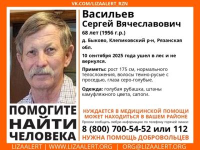 В Клепиковском районе в лесу пропал пенсионер