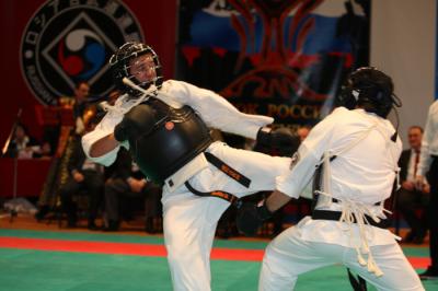 Рязанские спортсмены проявили себя в восточных единоборствах