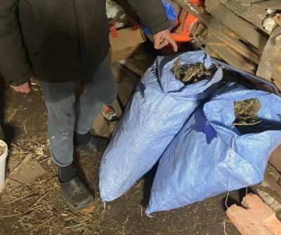Полиция изъяла у жителя Рыбновского района мешки с марихуаной и коноплёй