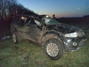 Житель Курской области за рулём иномарки слетел в кювет в Старожиловском районе