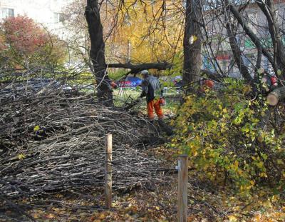 Рязань продолжают благоустраивать и озеленять