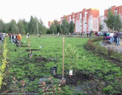 Территорию сквера «Вишнёвый сад» пополнили 165 многолетних цветущих кустарников и деревьев